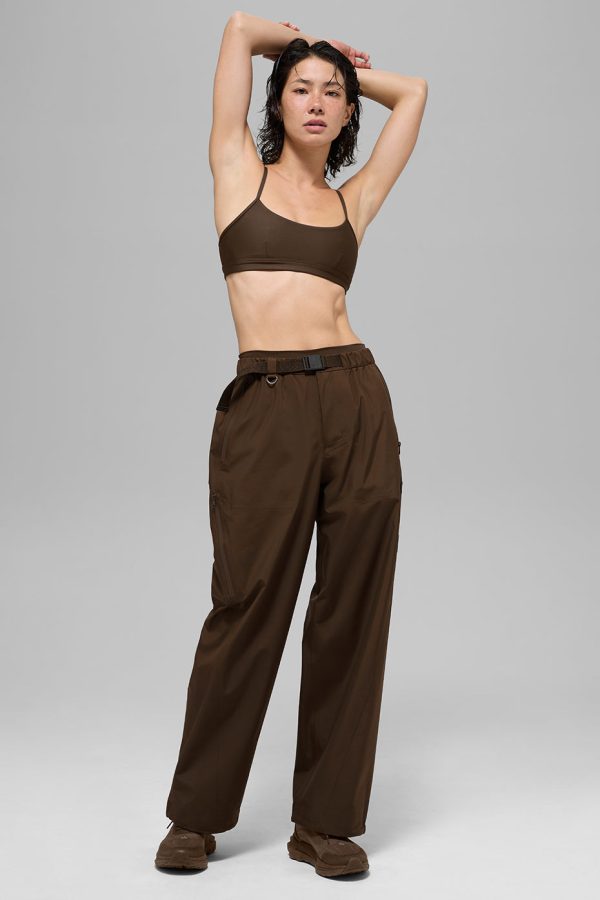 Alpha Shell Pant ?C Espresso