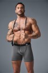 Day and Night Boxer – Grey